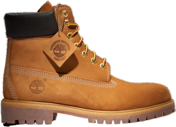 Timberland 6" Premium Waterproof Boots